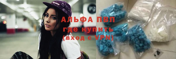 твердый Аркадак