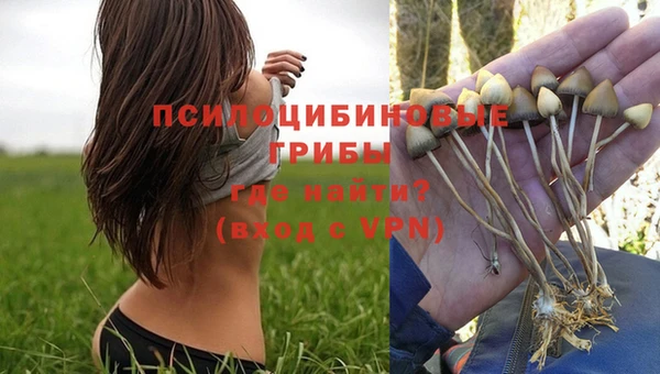 таблы Арсеньев