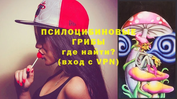 твердый Аркадак